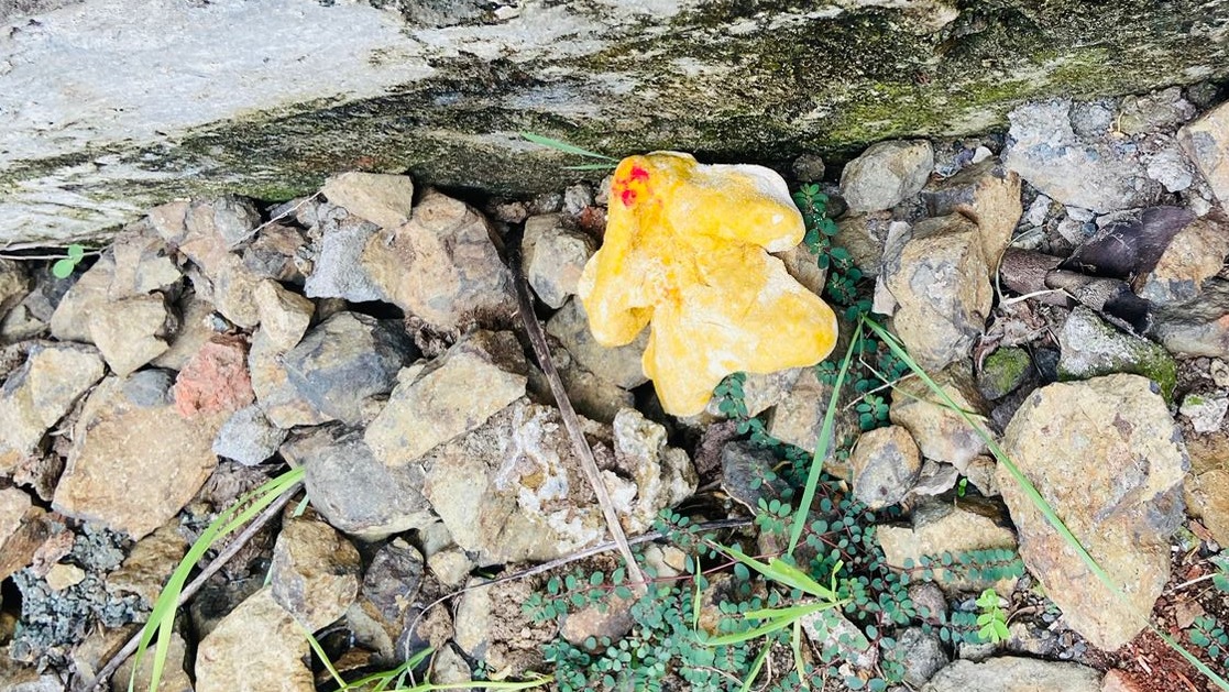 नसरुल्लागंज के कुमनताल में तंत्र-मंत्र और टोने-टोटकों से ग्रामीण परेशान, उड़ रहे आटे से बने गुड्डे और गुड़िया! जानें पूरा मामला