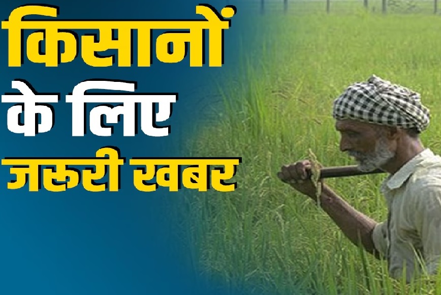 मध्यप्रदेश के किसानों के लिए जरूरी खबर, समर्थन मूल्य को लेकर आया बड़ा अपडेट