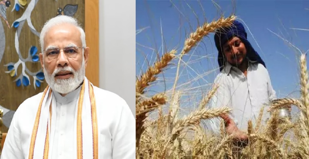 केंद्र सरकार ने किसानों को दिया दिवाली का तोहफा, गेहू और चने समेत 6 फसलों का समर्थन मूल्य बढ़ाया