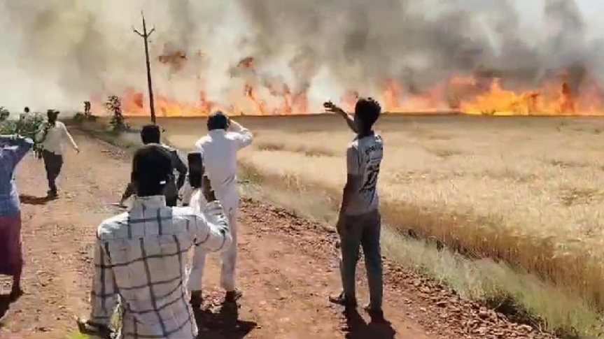 MP के देवास और सीहोर जिले में बड़ी घटना, अन्नदाता की मेहनत पर लगी आग, गेहूं की फसल जलकर हुई राख