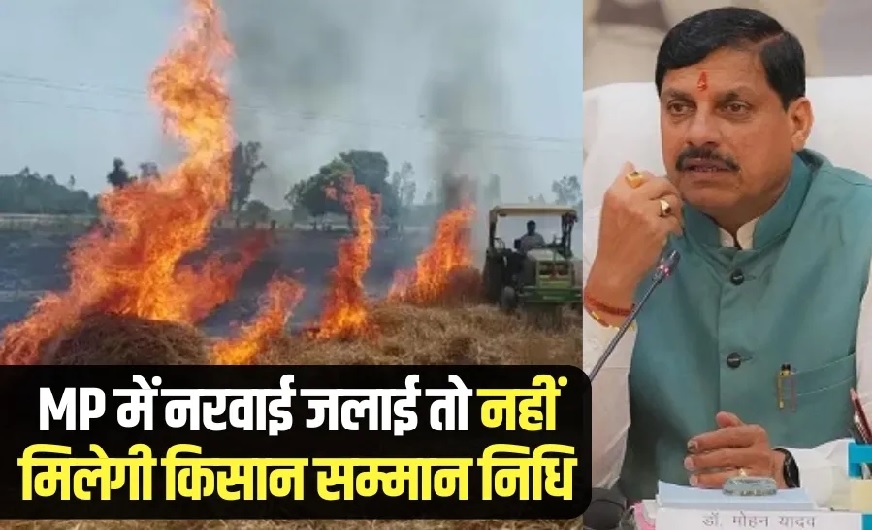 ब्रेकिंग: MP सरकार का बड़ा फैसला, नरवाई जलाने पर नहीं मिलेंगे किसान सम्मान निधि के पैसे, समर्थन मूल्य पर नहीं बेच सकेंगे फसल, एक मई से लागू होगा फैसला