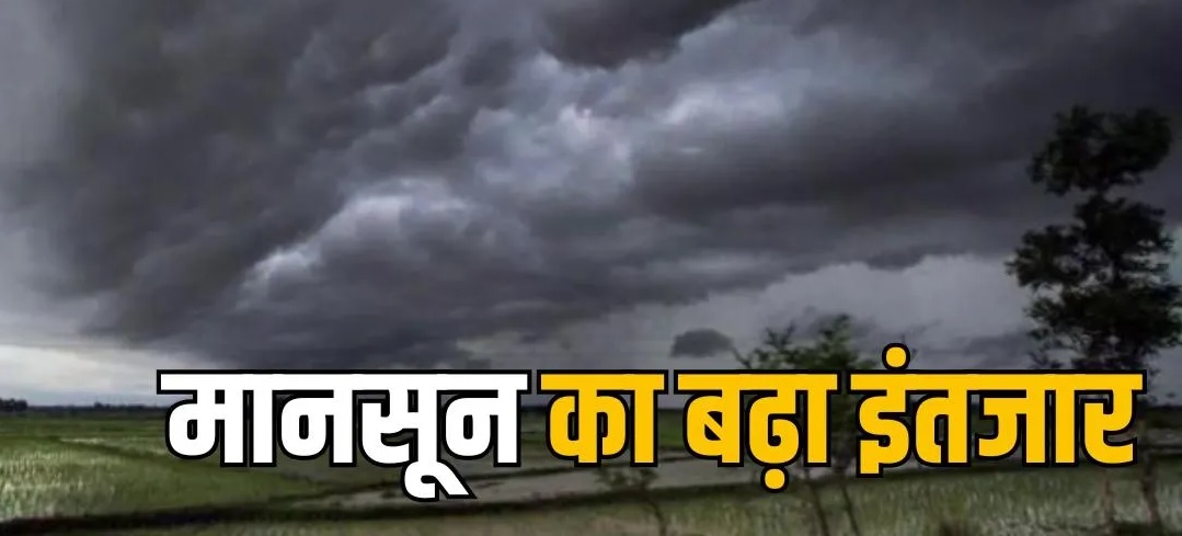 मध्यप्रदेश में कब आएगा मानसून? सामने आया बड़ा अपडेट, इन 12 जिलों में बारिश का अलर्ट