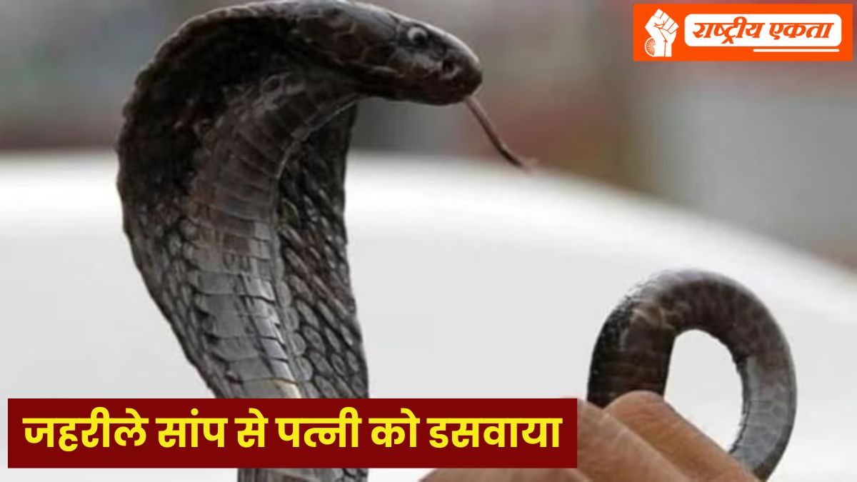 सनसनीखेज वारदात: दोस्तों से मंगवाया जहरीला सांप, घर लाकर पत्नी को डसवाया, ऐसे हुआ निर्मम हत्या का खुलासा