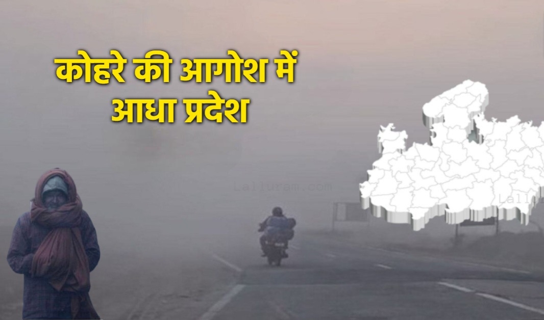 MP में कड़ाके की ठंड, सबसे ठंडा राजगढ़, भोपाल में टूटा रिकॉर्ड, इन जिलों में स्कूलों की छुट्टियां घोषित