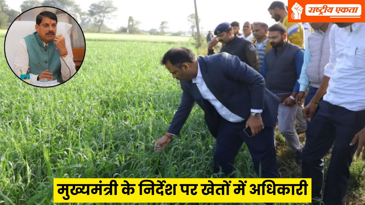 किसानों के लिए खुशखबरी, इन जिलों में जल्द मिलेगा मुआवजा, CM मोहन यादव ने दिए निर्देश, जानें मुआवजे की पूरी प्रक्रिया
