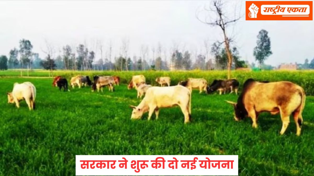 किसानों की बल्ले-बल्ले, सरकार ने शुरू की दो नई योजना, अब इन किसानों को मिलेंगे 12,000 महीना