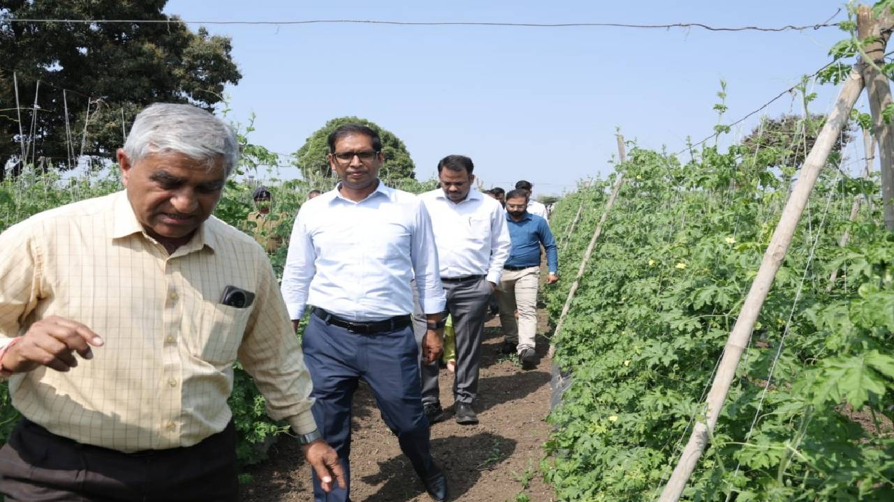 देवास जिले में आधुनिक खेती से लाखों कमा रहे किसान, संभागायुक्त ने किसानों से उन्नत तकनीक की खेती और मुनाफा जाना