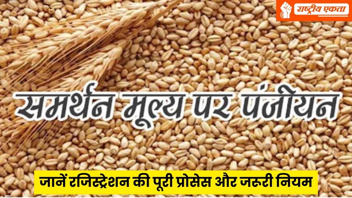 MP में आज से समर्थन मूल्य पर गेहूं खरीदी के लिए पंजीयन शुरू, सरकार इस बार इतने रुपये में खरीदेगी गेहूं, जानें रजिस्ट्रेशन की पूरी प्रोसेस और जरूरी नियम