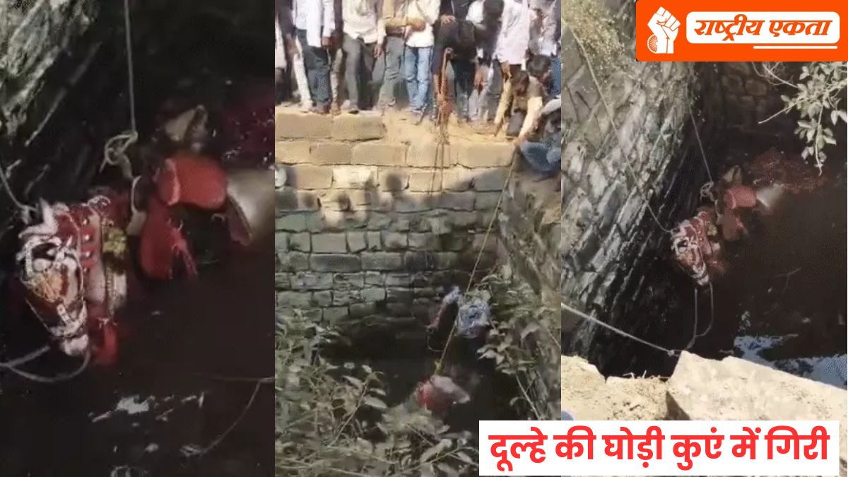 MP में बारात के दौरान बड़ा हादसा! दूल्हे की घोड़ी कुएं में गिरी, ढोल-डीजे के शोर से अचानक हुई बेकाबू