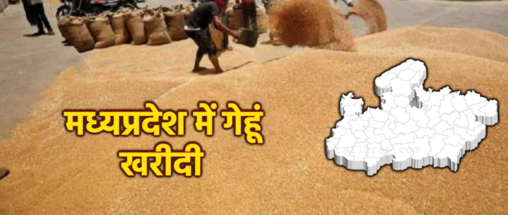 मध्यप्रदेश के किसानों के लिए बड़ी खबर, इस तारीख से शुरू होगी गेहूं खरीदी, अतिरिक्त बोनस देगी सरकार, अब तक इतने किसानों ने कराया है पंजीयन