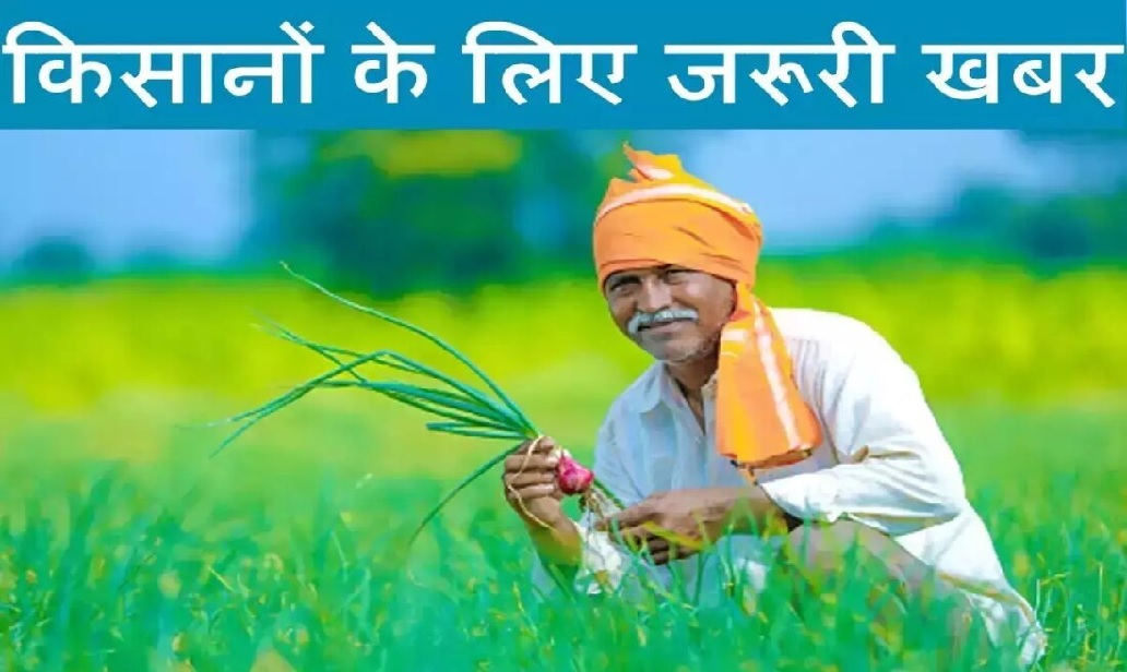 किसानों के लिए जरूरी खबर, इस बार गेहूं-चना, मसूर-सरसों का कितना है समर्थन मूल्य, चने का MSP 225 रुपए बढ़ा