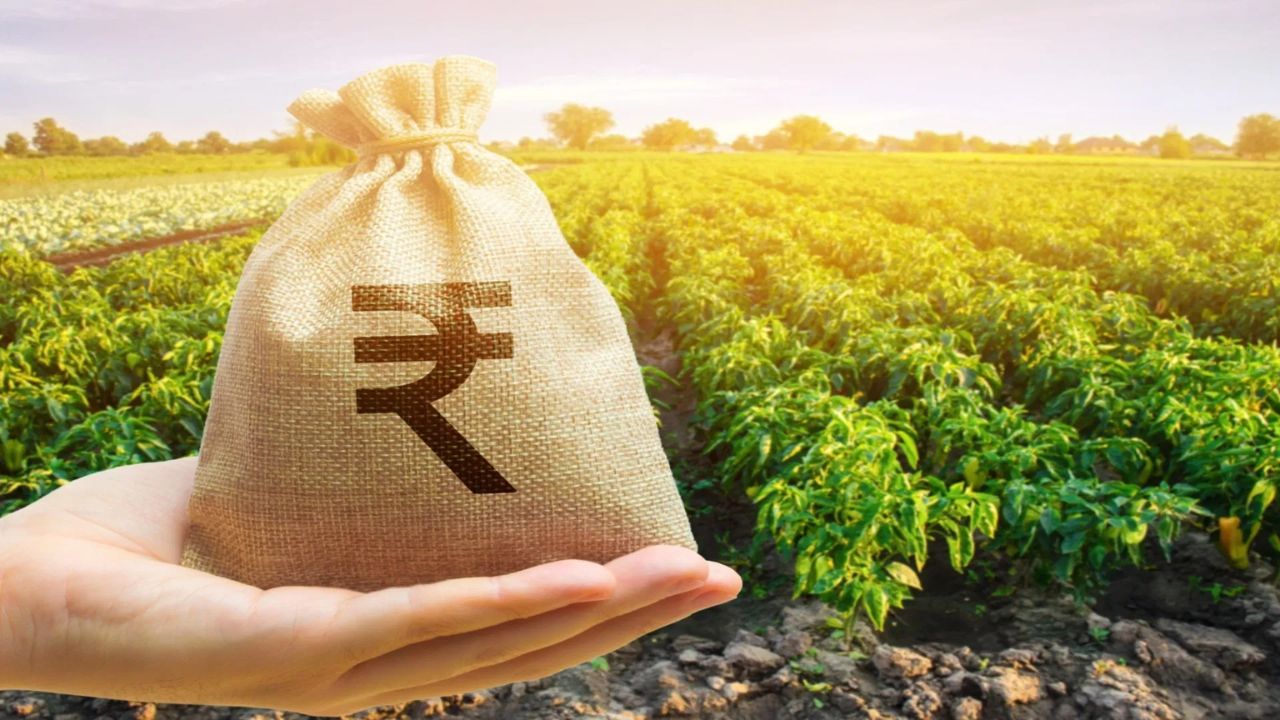 PM Kisan Yojana: किसानों के खाते में कब आएंगे ₹2000? 22वीं किस्त को लेकर बड़ा अपडेट