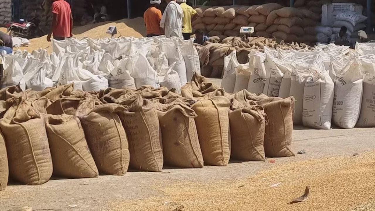 MP में गेहूं खरीदी की तैयारी तेज: CM मोहन यादव ने बनाई मंत्रियों की समिति