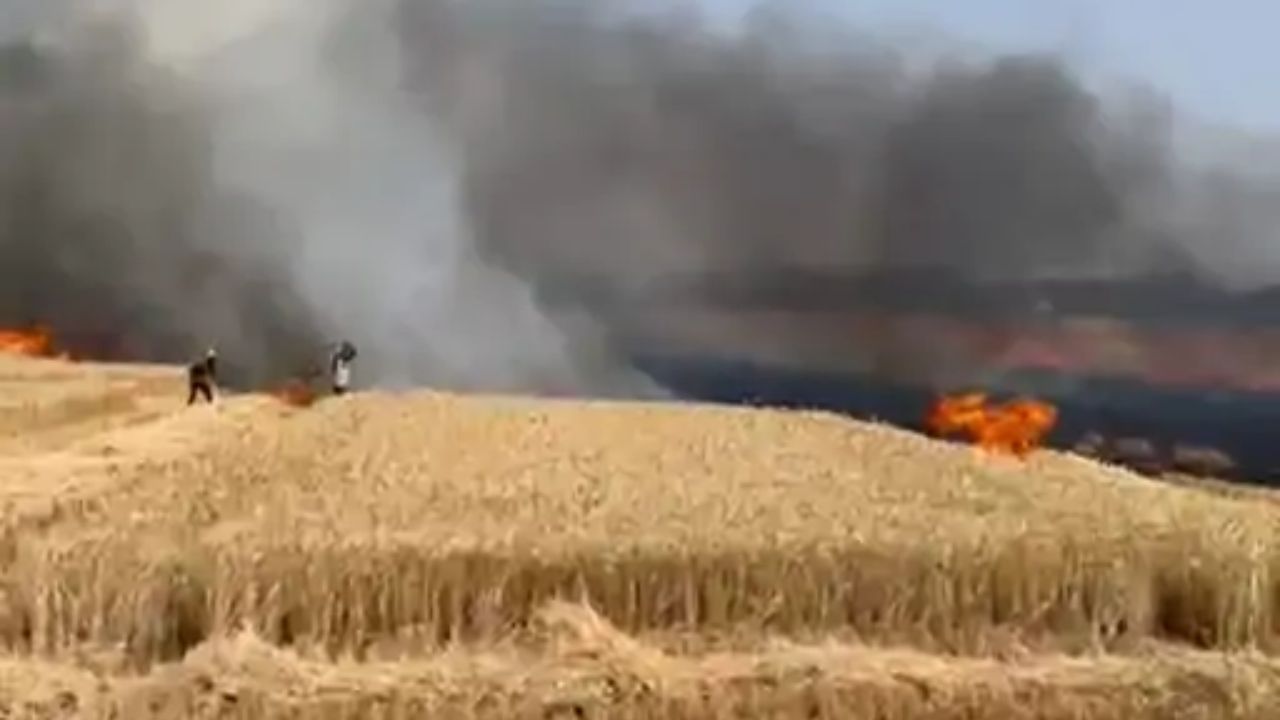 किसानों के लिए बड़ी खबर: नरवाई जलाने पर होगी कार्रवाई, सैटेलाइट से हो रही निगरानी, हरदा में प्रशासन ने लिया 10 हजार रुपए का जुर्माना