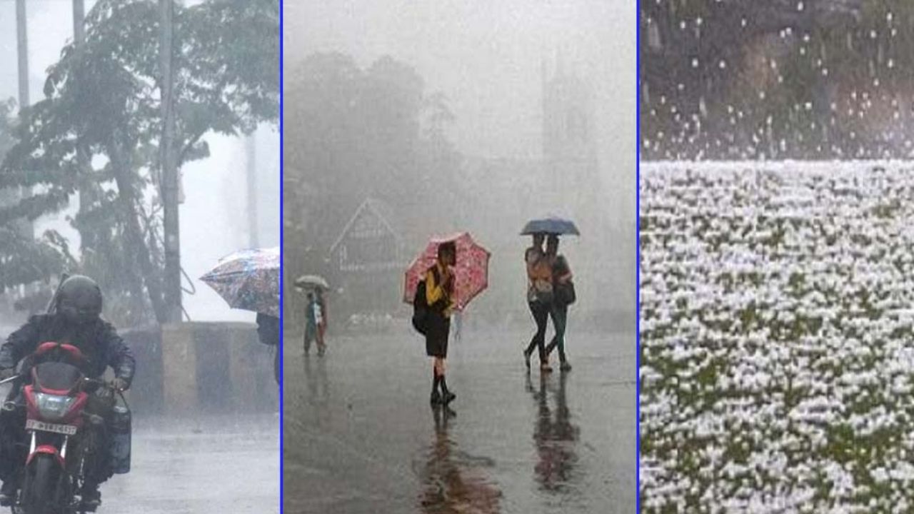 MP में मौसम का यू-टर्न: 34 जिलों में बारिश और ओलावृष्टि का खतरा, अलर्ट जारी