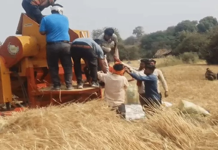 मध्यप्रदेश में थ्रेसर में फंसा किसान, गर्दन धड़ से अलग हुई, गेहूं निकालते वक्त मशीन ने खींचा अंदर