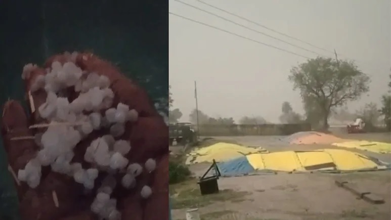 मध्यप्रदेश में बदला मौसम, इंदौर समेत कई जिलों में झमाझम बारिश, ओले भी गिरे, 33 जिलों में आंधी-बारिश का अलर्ट, बिजली गिरने से महिला की मौत