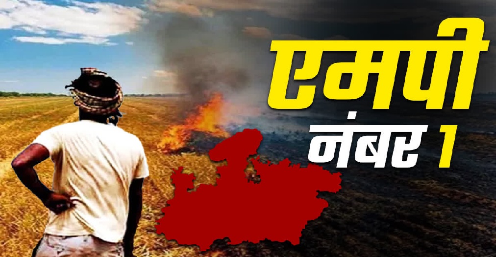 गेहूं की पराली जलाने में मध्यप्रदेश देश में नंबर वन, शिवराज सिंह चौहान का विदिशा और उज्जैन सबसे आगे