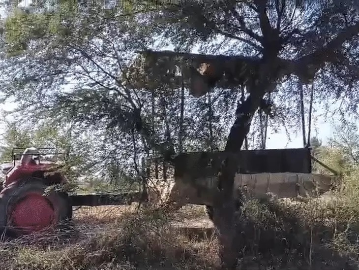 MP में बड़ा हादसा: हाईटेंशन लाइन की चपेट में आए ट्रैक्टर-ट्रॉली, महिला और बच्चा जिंदा जले, 2 लोग बुरी तरह झुलसे