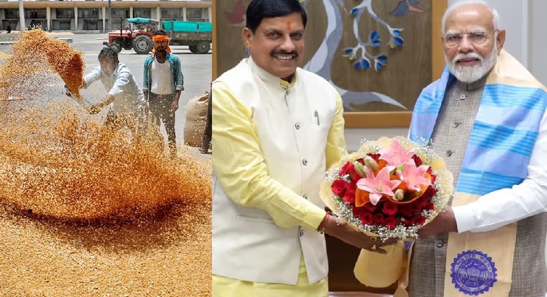 मध्यप्रदेश के किसानों के लिए बड़ी खुशखबरी, अब 100 लाख मीट्रिक टन गेहूं खरीदी होगी, केंद्र सरकार से मिली मंजूरी