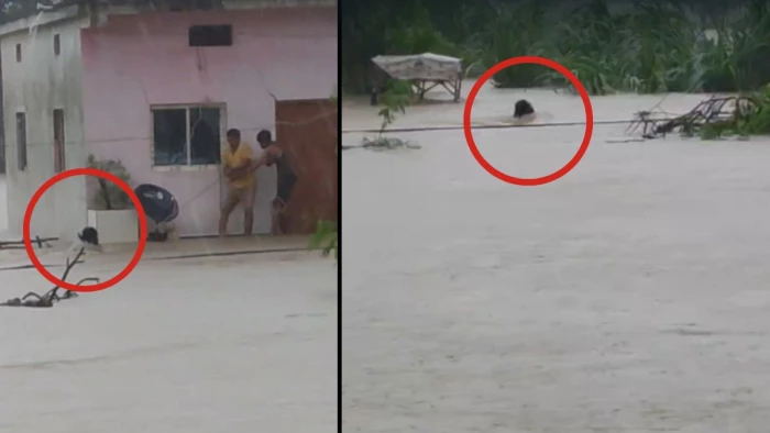 ब्रेकिंग: देवास जिले के लोगों की कार नाले में बही, 3 निकाले गए, 8 लापता
