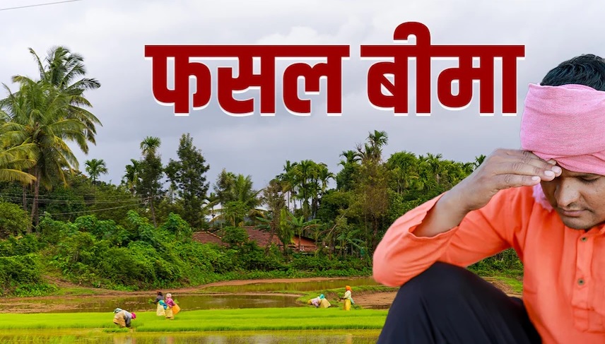 देवास और धार जिले के किसानों के फसल बीमा क्लेम में हुई हेरफेर का मामला हाईकोर्ट पहुंचा, CBI या SIT जांच की उठी मांग