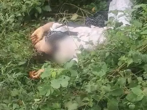 झाड़ियों में मिला नाबालिग लड़की का शव, गला घोंटने के निशान, बॉयफ्रेंड पर हत्या का आरोप