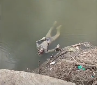 दो दिन से गायब मजदूर का नदी में मिला शव, हाथ पर लिखे नाम से...