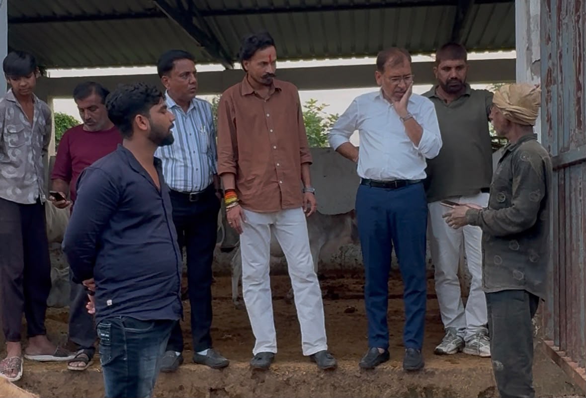 बरछा गौशाला में अव्यवस्थाओं का आरोप, कीचड़ में पड़ी मिलीं गौवंश
