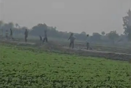 देवास जिले के राजोदा गांव में जवारा विसर्जन के दौरान मधुमक्खियों का हमला, मची अफरा-तफरी, 20 से ज्यादा लोग घायल